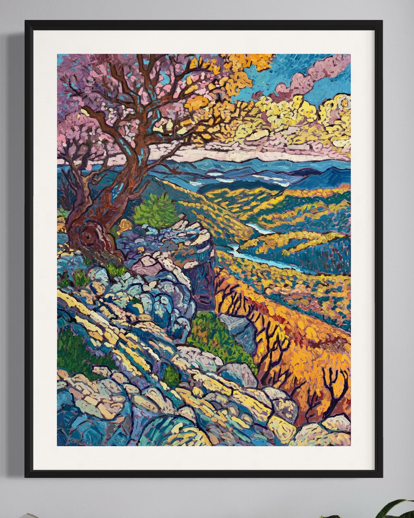 Shenandoah National Park Prints