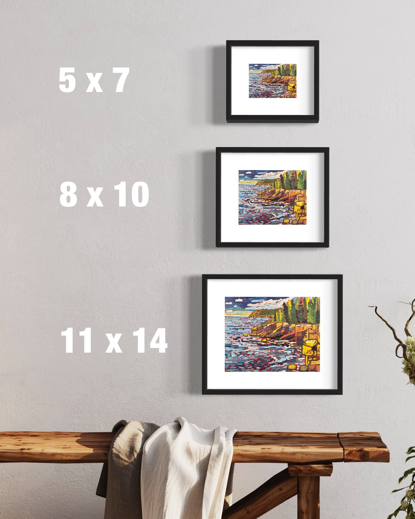 Acadia National Park Print