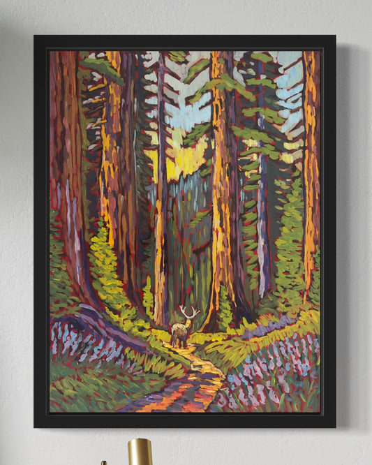 Redwoods