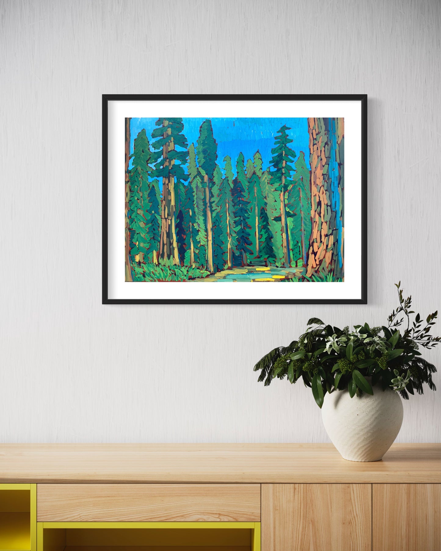 Redwoods National Park Print