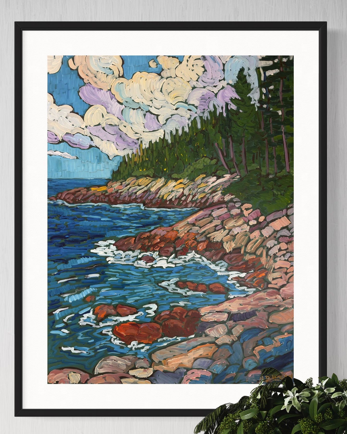 Acadia National Park Prints