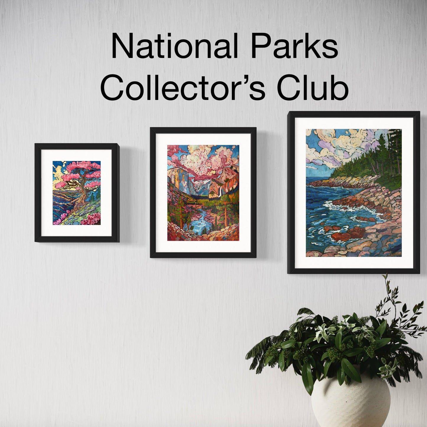 Get a New National Park Print Every Month